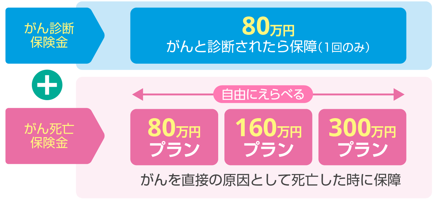 自由に組み合わせできるがん診断保険金（80万円）と、がん死亡保険金3プラン